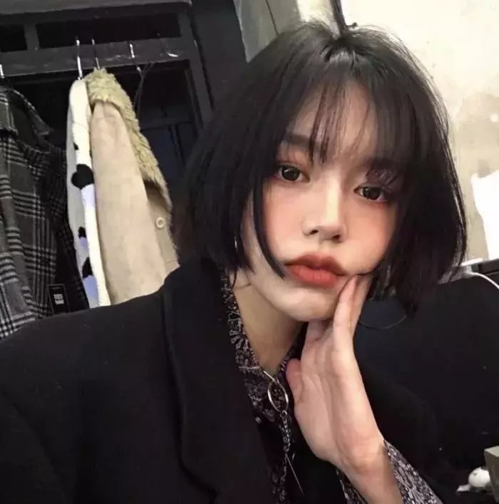 堪萨斯小猫